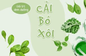 Loi ich cua rau cai bo xoi